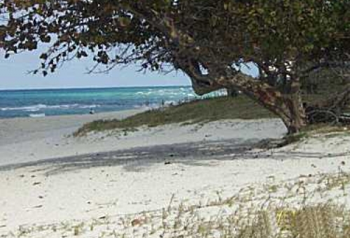 Casa Berta - Varadero